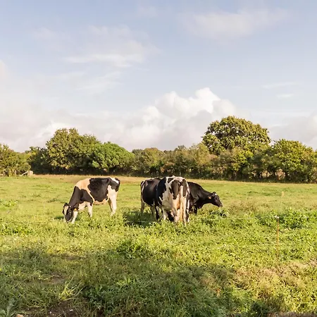 Holiday home Maison Bretonne Renovee Pres De La Avec Jardin, Terrasse Et Equipements Modernes - Fr-1-306-1197 *